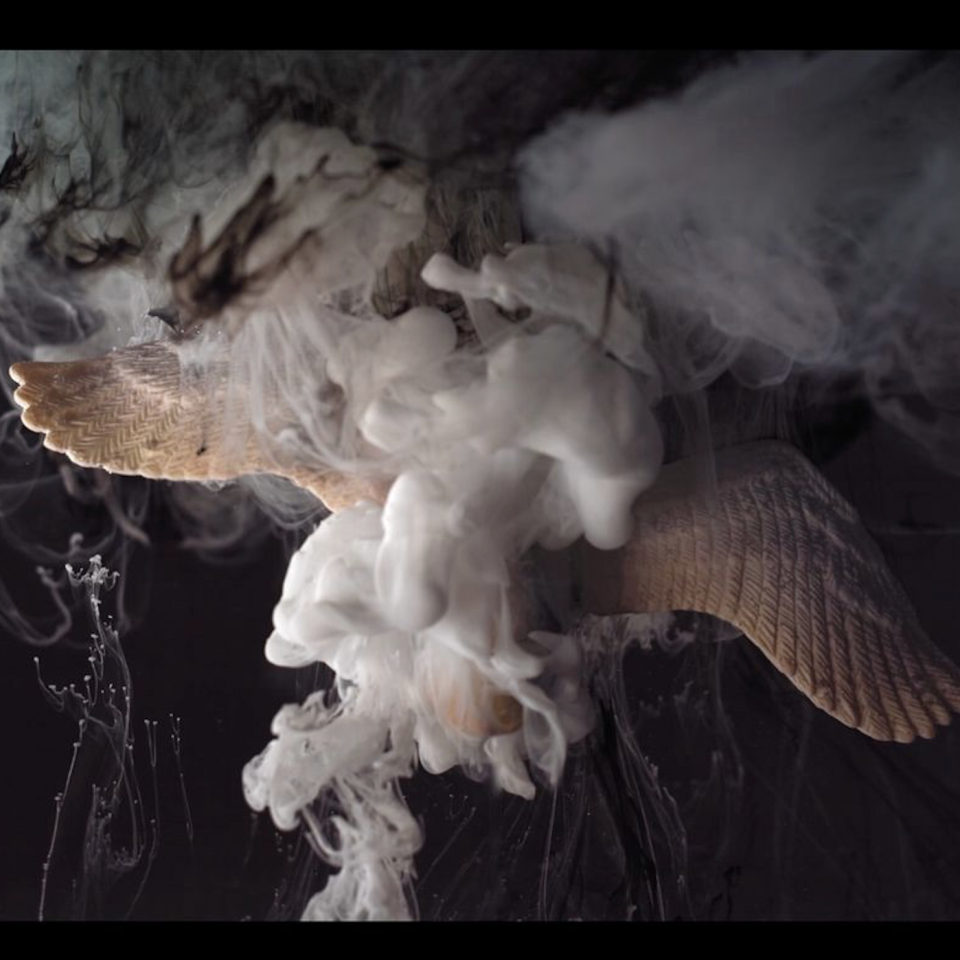 Black Swan Unfolding promo image