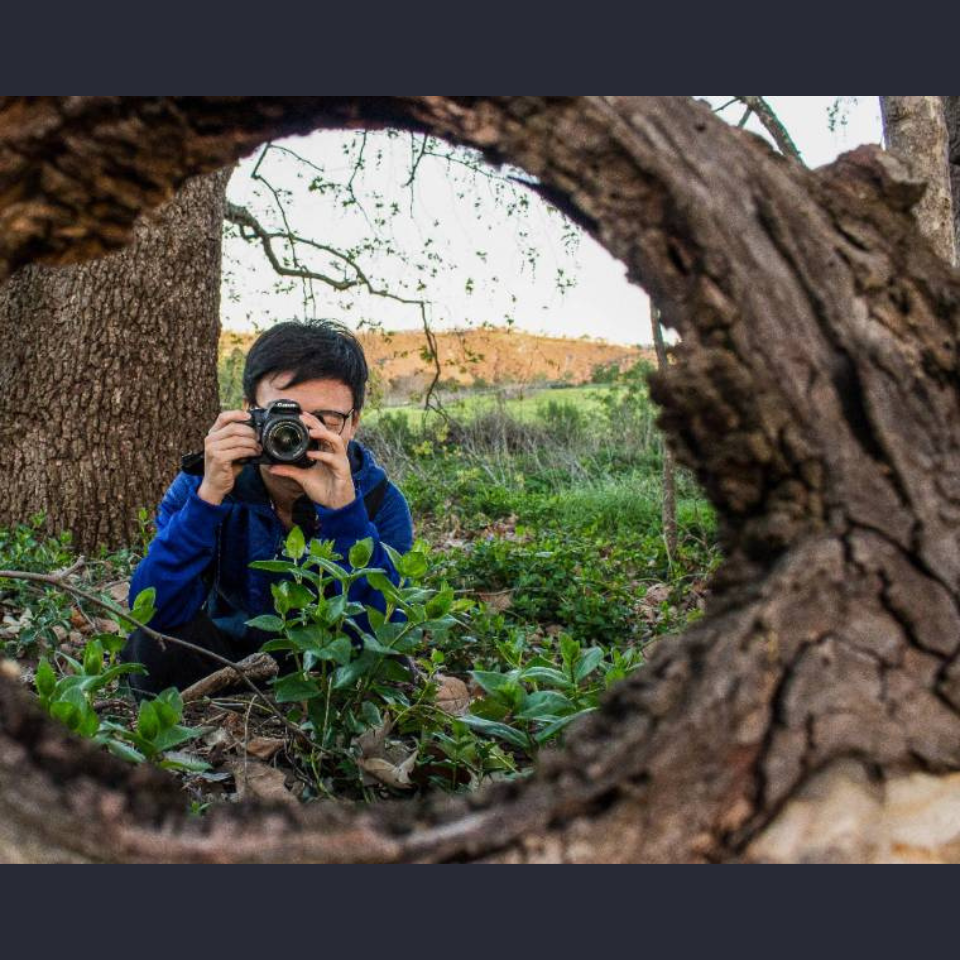 Promo image of California State University San Marcos