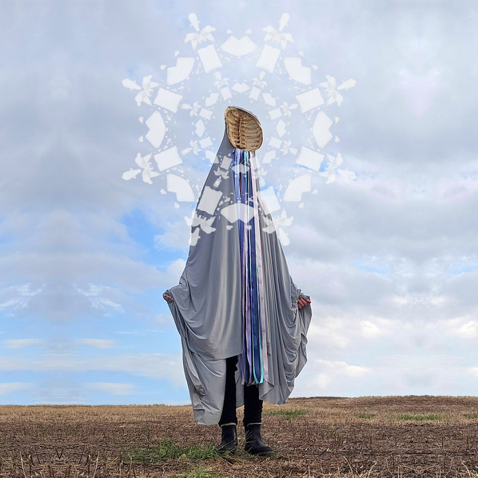 Promo image of Itinerant Signal Institute
