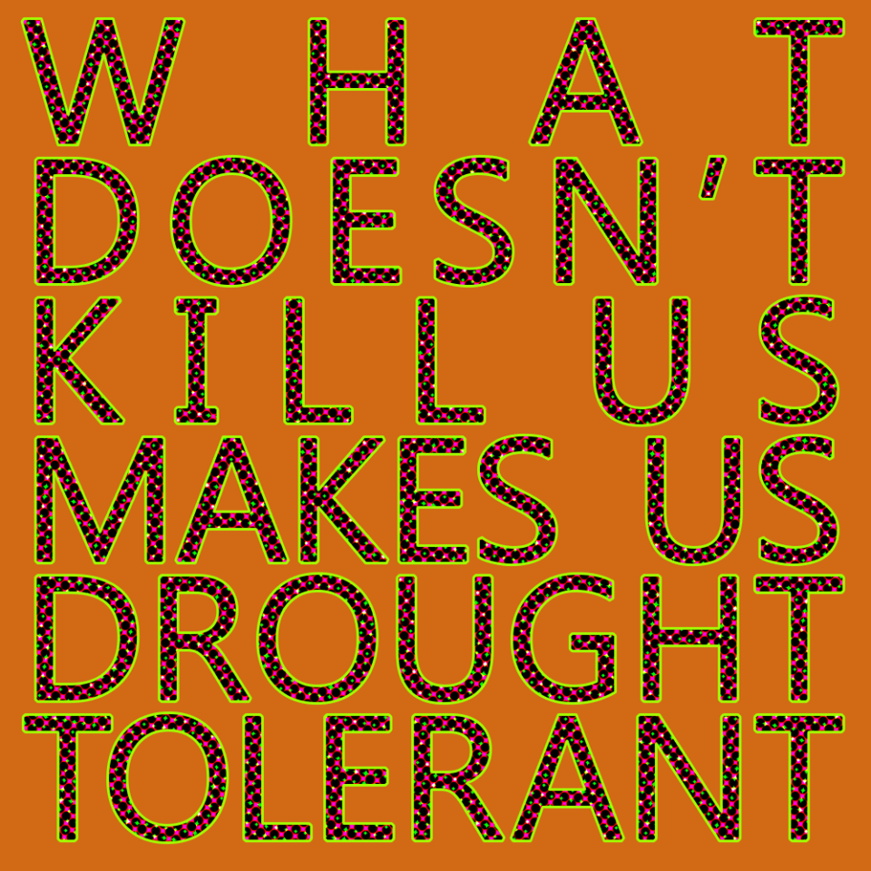 Promo image of What Doesn’t Kill Us Makes Us Drought Tolerant